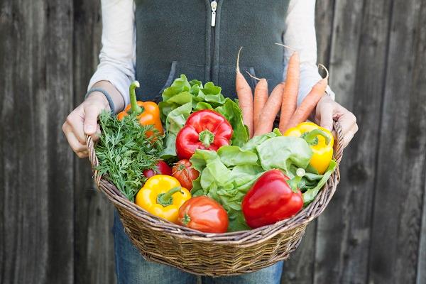 Essential Vitamins and Minerals to Incorporate in Your Diet