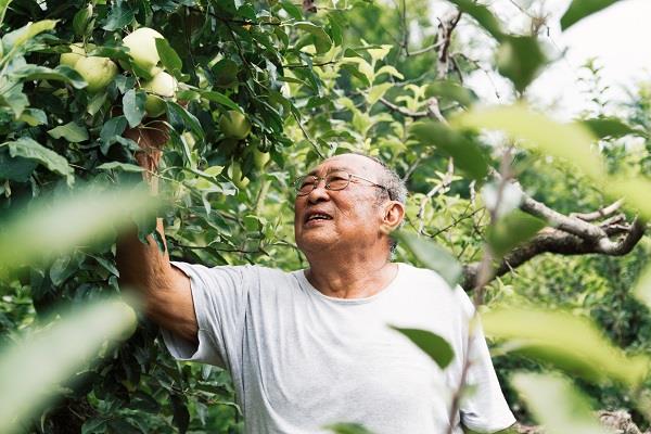Healthy Aging Is About Having the Right Habits