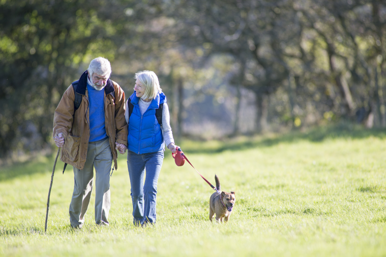 Colorectal Cancer 101: What You Need to Know