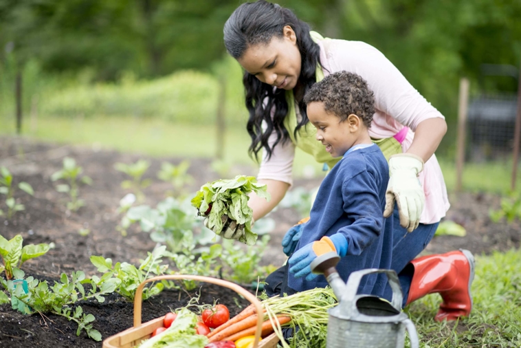 Getting your garden growing