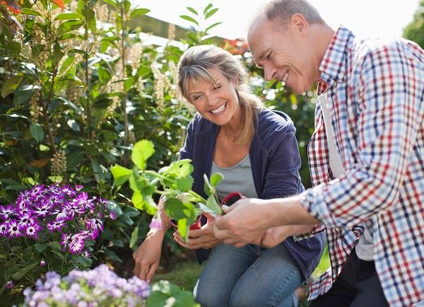 Surviving and Thriving: Seasonal Allergy 101