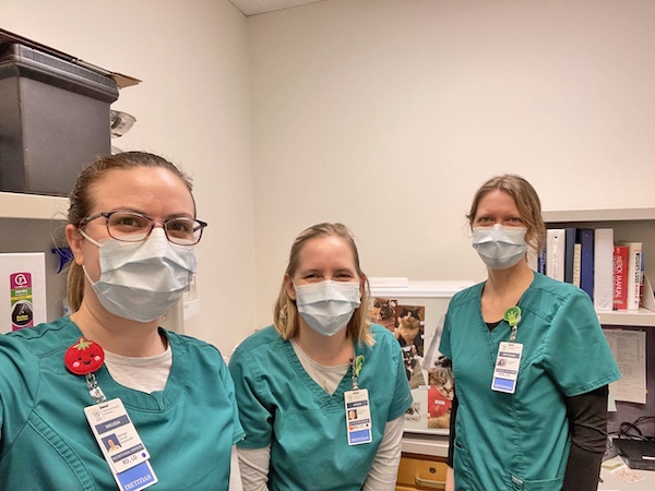In their own voices: What Registered Dietitian Nutritionists do to inspire health, wholeness and hope
