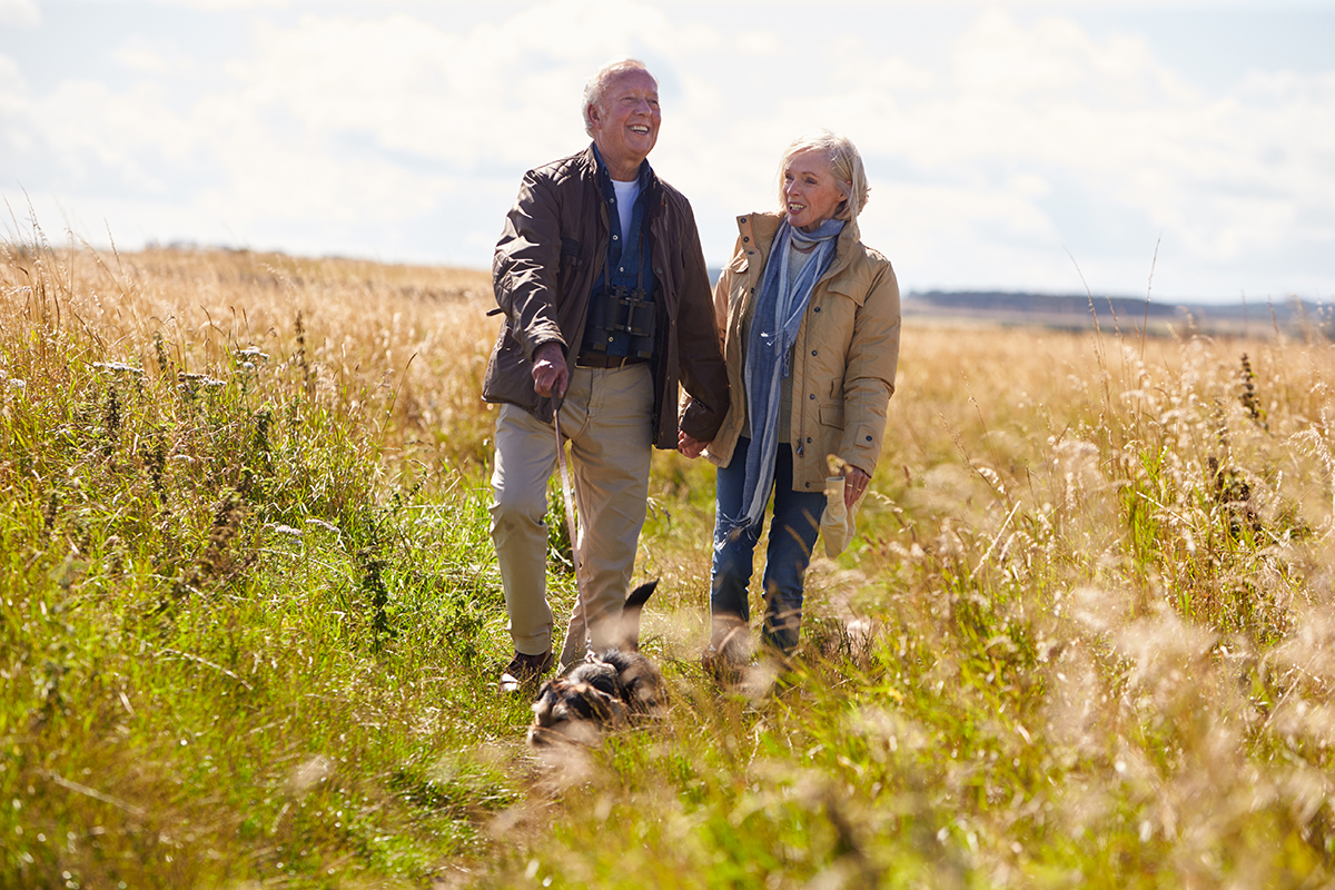 Understanding Bladder Cancer