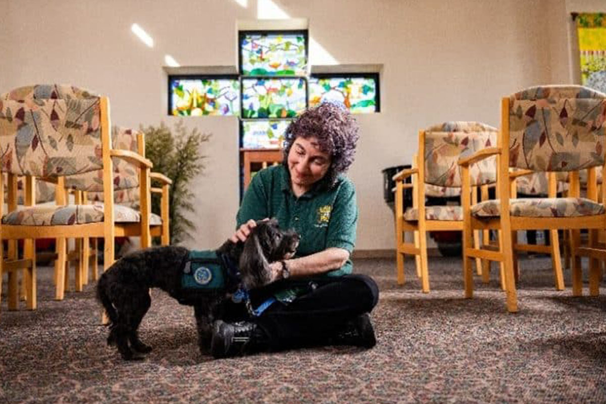 The Power of Pet Therapy: A Tail of Comfort