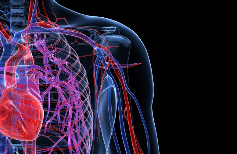 New Service Helps Patients Reduce Risk of Heart Attack, Stroke and Vascular Disease