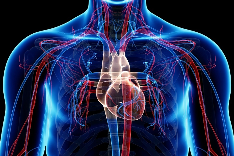 New vascular lab enhances technology and capabilities for vascular procedures