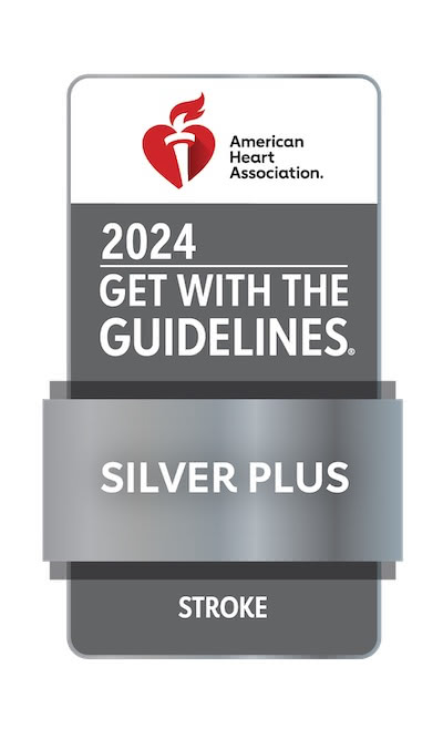 GWTG_STROKE-PLUS_2024_Silver_4C.jpeg