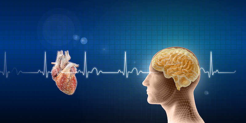 Illustration of EKG graph, heart and human head and brain